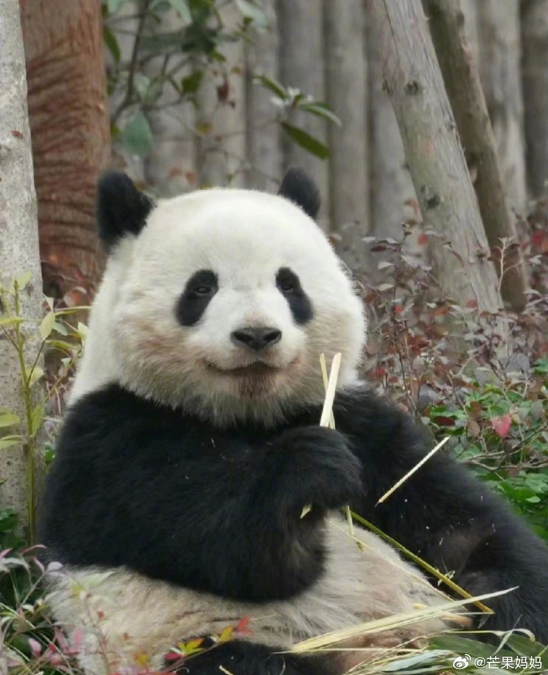 同城同学约：都市青年的社交破圈指南与实战手册