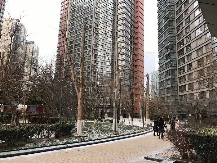 图：北京朝阳区CBD核心商圈金地国际花园小区 来源：李阿姨供图