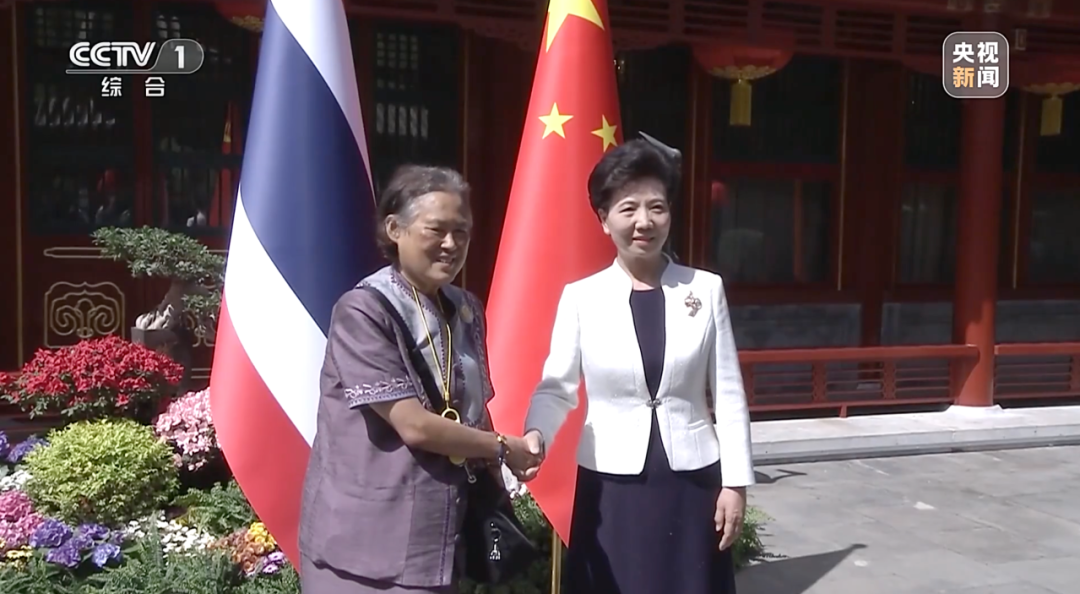 ifa反波胆平台官网
