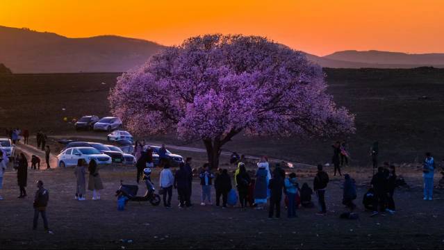 宁波如何轻松约到附近的单身女生