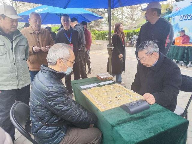4月10日,北京输入胡同西口街心公园,“和合牛街”杯象棋赛决赛现场。实习生 贾新阳/摄