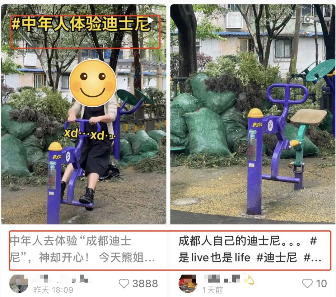 ▲图/小红书