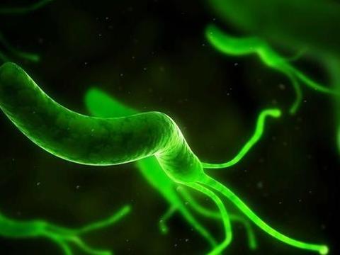 幽门螺杆菌自测方法 感染症状如何判断