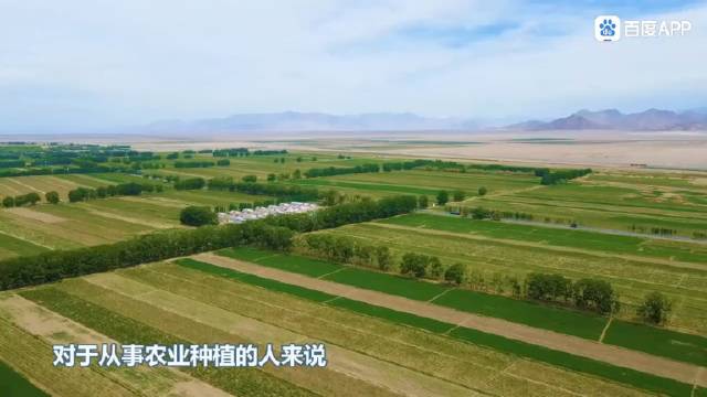 中国是全世界早有农业种植技术的国家…