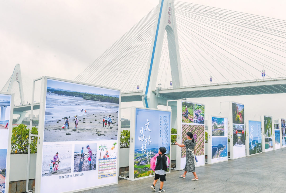 市民在海南环岛旅游公路和美乡村图片展现场驻足观看。记者 孙士杰 摄