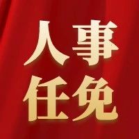 最新！北海发布一批人事任免！