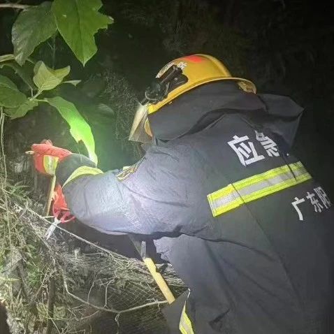 天气渐热，阳江多地发生蛇扰民警情！阳江消防提醒→