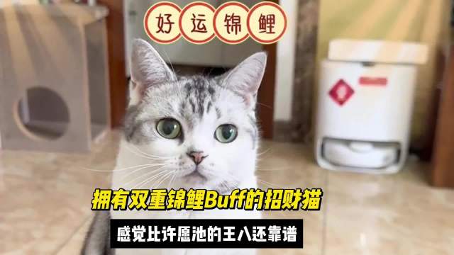 还记得这只拥有双重锦鲤buff的招财猫吗？