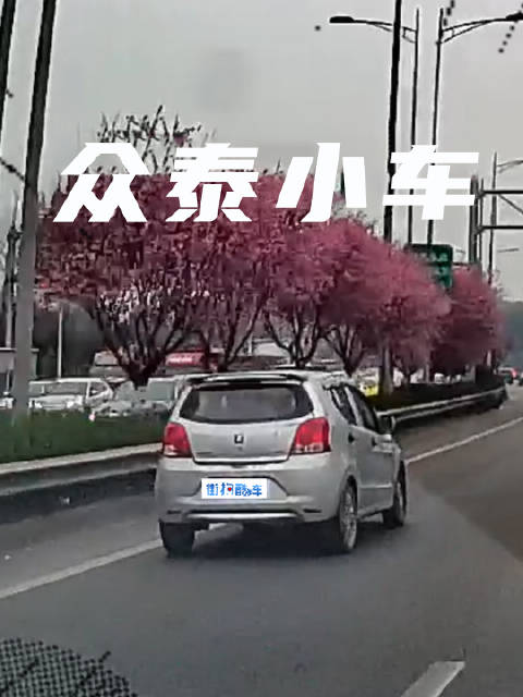 视频：路上居然跑台众泰Z100，二手小车多便宜也不能买