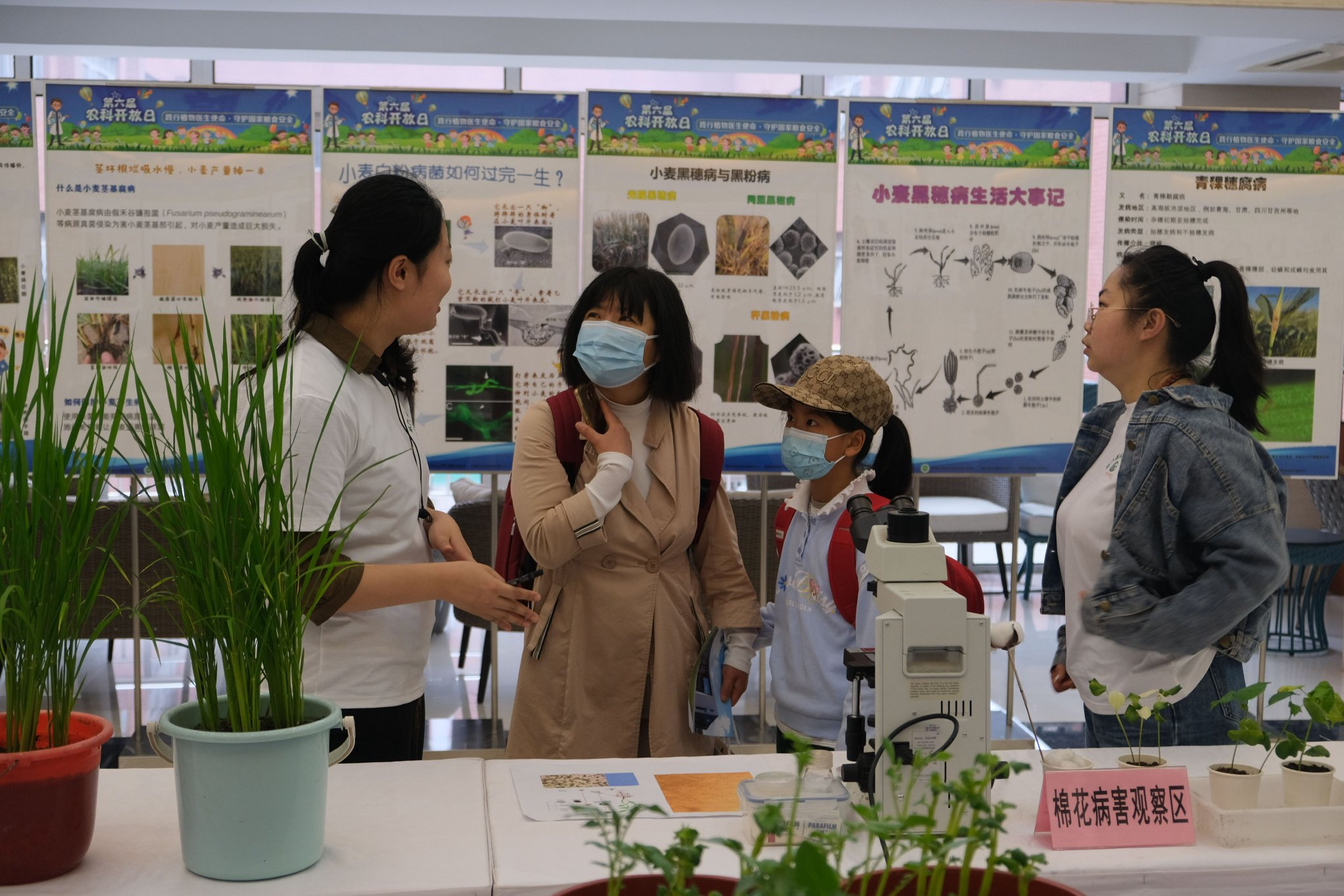 植保所工作人員正在為家長和小朋友講解植保知識。中國農科院植保所供圖