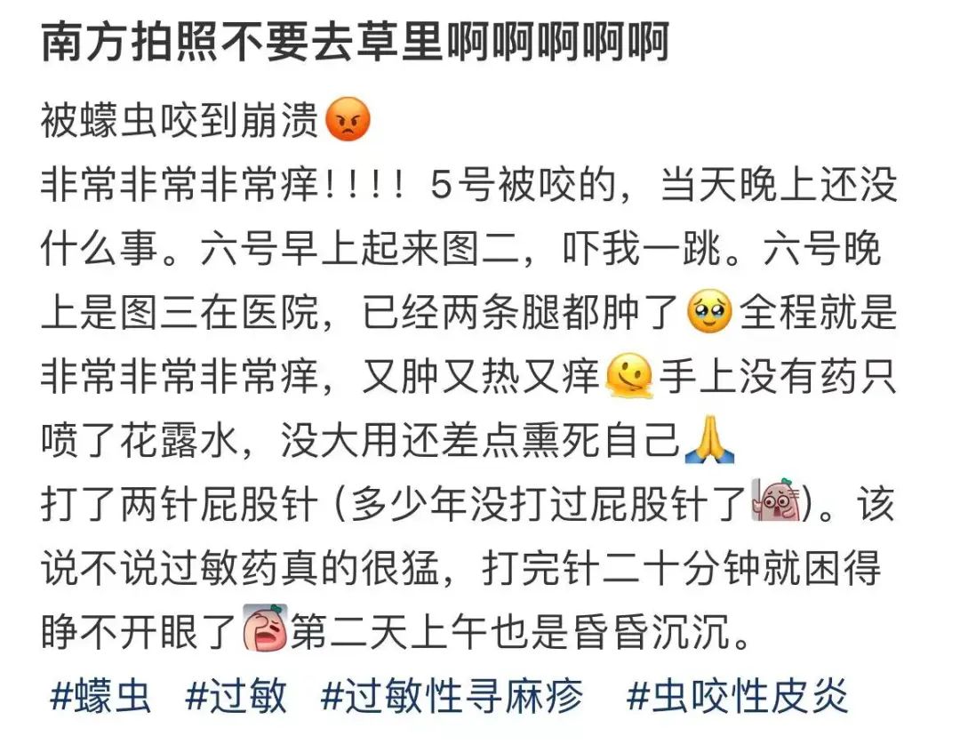 图源:小红书