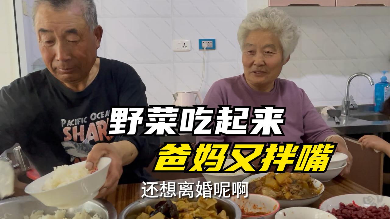 农民王小：老姐送婆婆丁吃，春天野菜就是香，爸妈拌嘴要离婚？