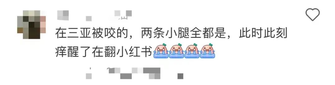 图源:小红书