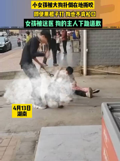 小女孩被大狗扑倒在地撕咬，看着让人心疼