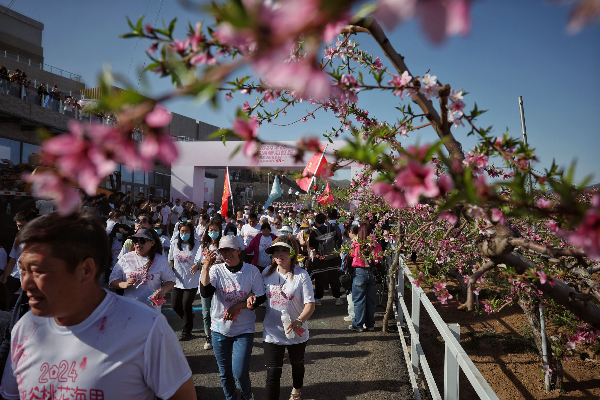 4月15日，第二十六屆北京平穀國際桃花節在萬畝花海的桃源逸棧拉開帷幕。新京報記者 薛珺 攝