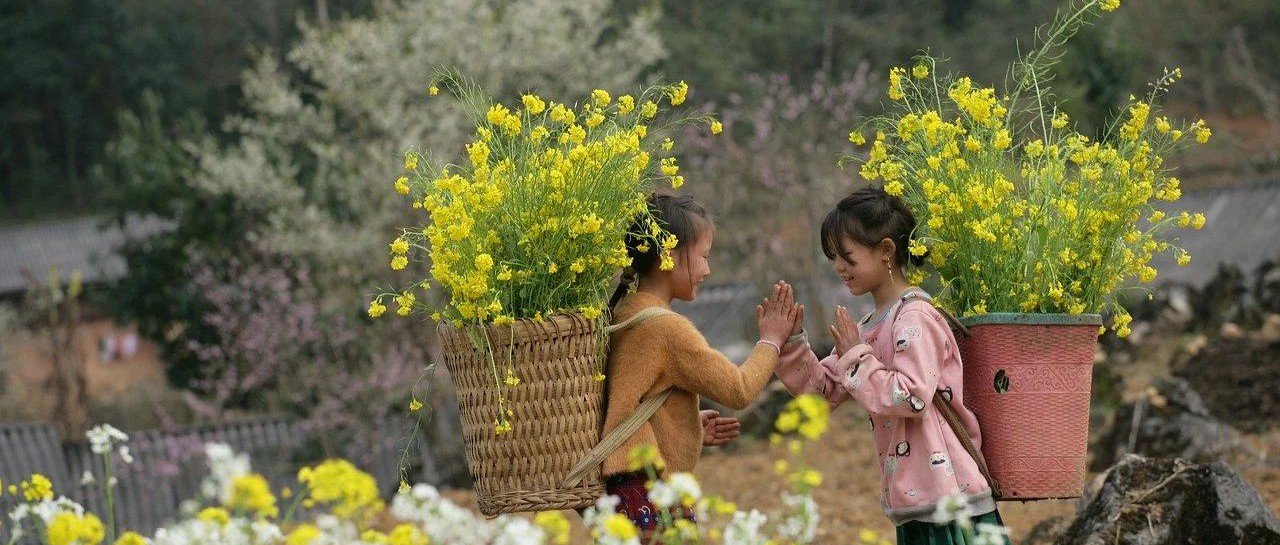 陈沂：“青衫未著春风笑，始唤芳菲次第开”诗小辑