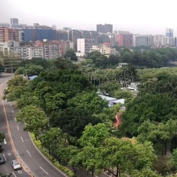 本周“雷公”值班，广东准备落大雨