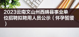 2023云南文山州西畴县事业单位招聘拟聘用人员公示（怀孕暂缓）