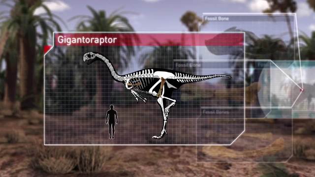 巨盗龙 Gigantoraptor 微博纪录片联盟