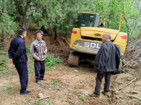 杨树被伐惹矛盾 民警当场解纠纷