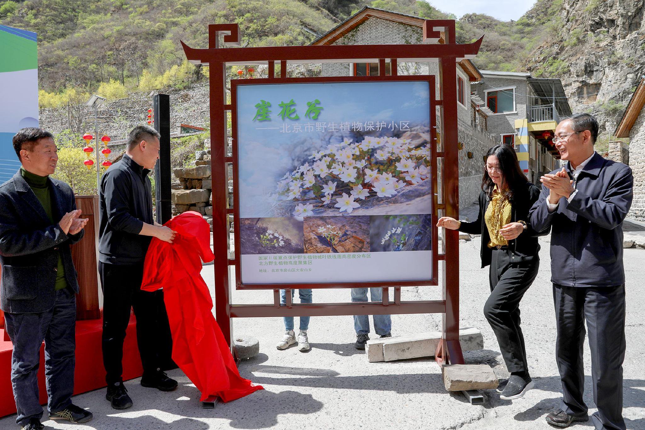 北京市首個野生植物保護小區在房山區崖花穀揭牌。何建勇 攝