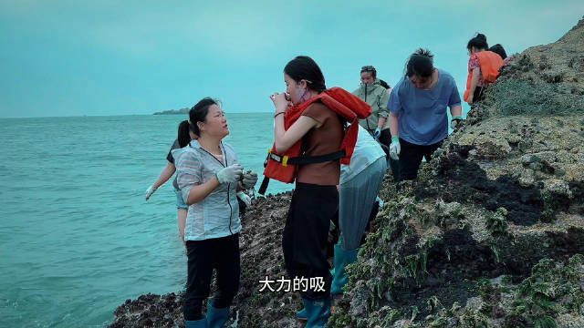 带粉丝赶海玩转无人岛，品尝藤壶独特的鲜美，下海探索摸沙白的乐趣