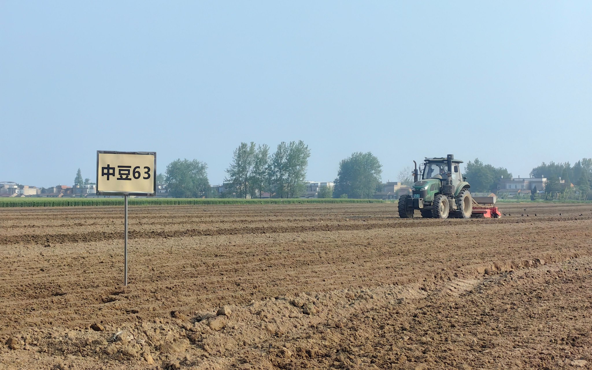 湖北天門，大豆種植生產示範田里，正在進行春耕搶播。中國農科院油料所供圖