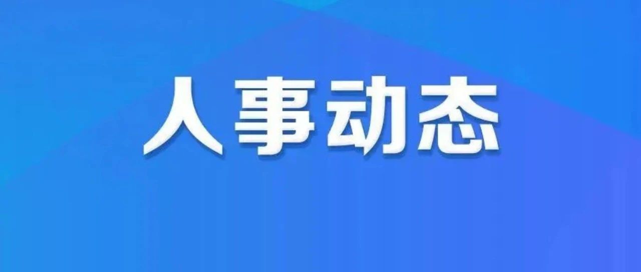 省级要员密集调整，多位副省长晋升省委常委