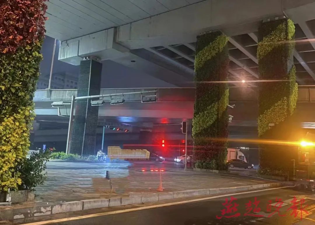 高架桥柱完成绿化提升。通讯员 王潇依 供图