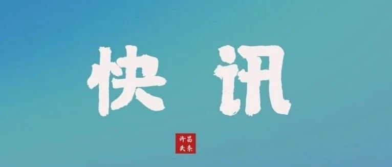 河南省高级人民法院一副庭长主动投案