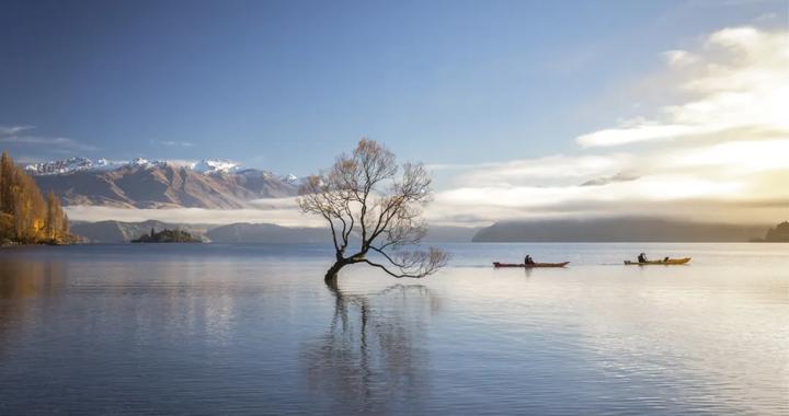 漫步反季新西兰：探寻自然的奇迹与魅力
