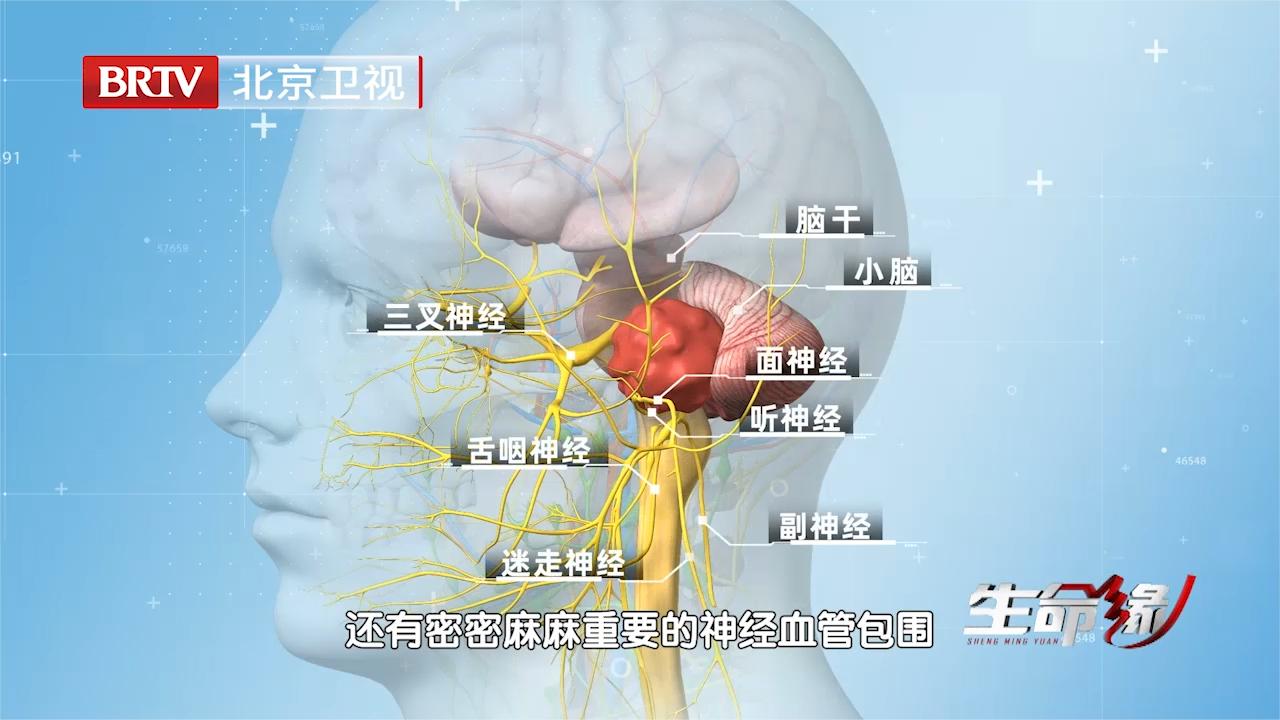 28岁麻醉医生患听神经瘤，医生变患者，让他有了更多的思考