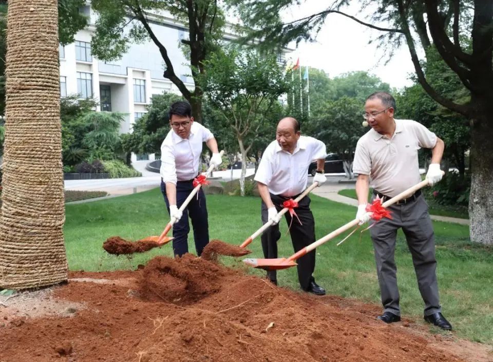 来源:上虞发布