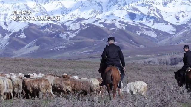 诺米的《阿普的思念》爆火后，体现出中国说唱文化的“隐疾”根植已久…