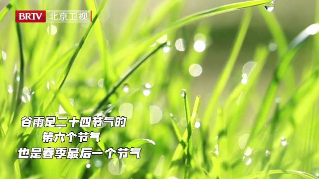 谷雨，春天的最后一个节气，暮春时节，一场细雨滋润了大地…