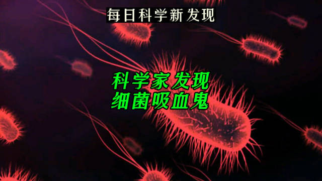 科学家发现细菌吸血鬼