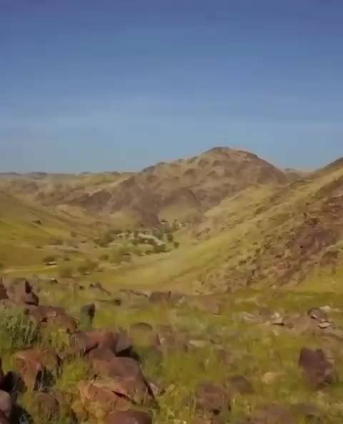 据悉，中东暴雨过后，沙特阿拉伯圣城周围的沙漠已经变绿