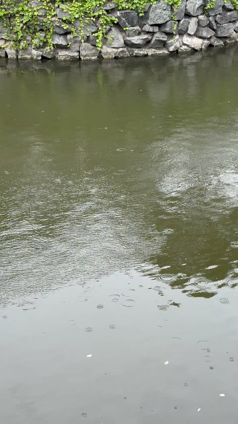 上赛目前的雨势…🌧️