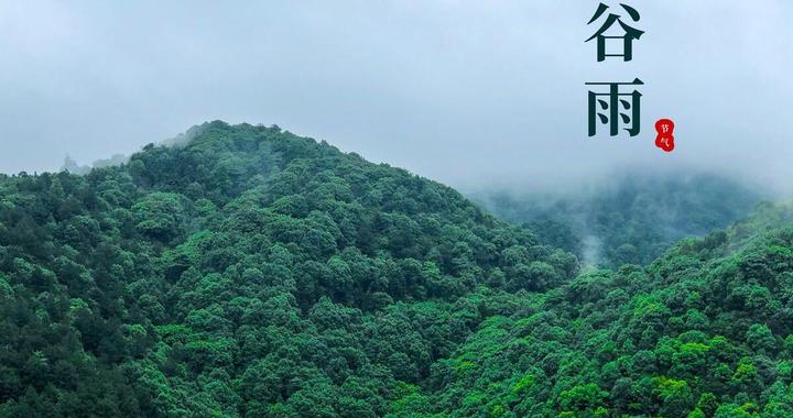 谷雨养生需注意芳香化湿，健脾助运