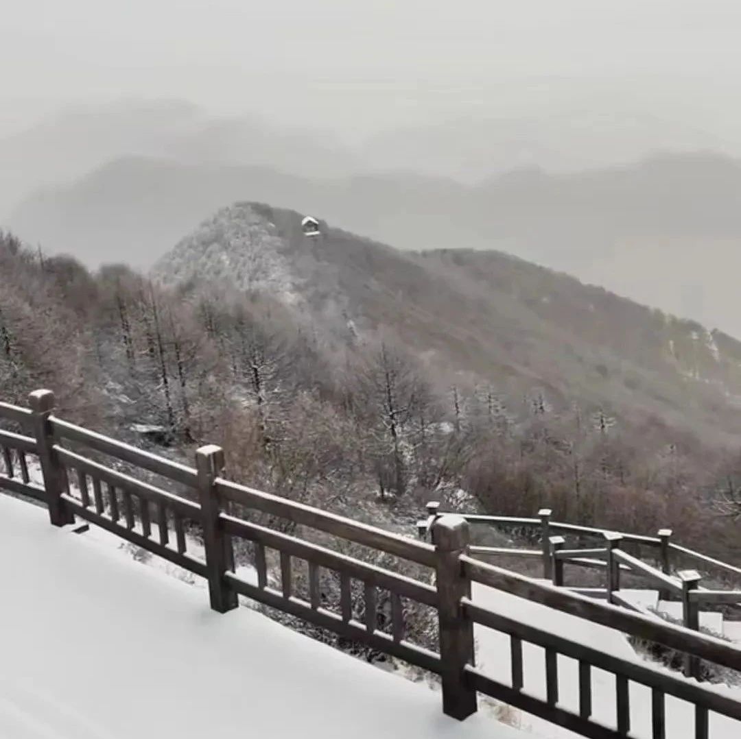 已到达西安！陕西这里下雪了……最新预报：这些地区注意！