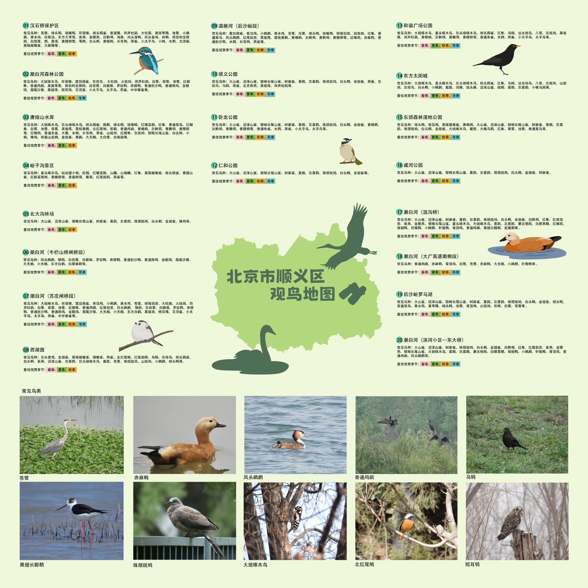 順義區發佈20處觀鳥點位地圖。順義區園林綠化局供圖