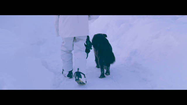 王源真的是懂什么是氛围感的，一人一狗在雪地上散步回家…