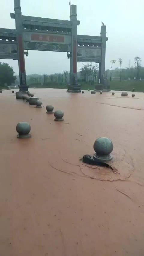 广东韶关，强降雨导致城市内涝，钓鱼佬直接上街捞鱼