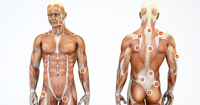 运动、钙与肌肉：老年人的健康密码