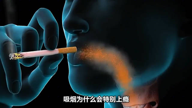 如果你长期吸烟，会对身体造成什么伤害？