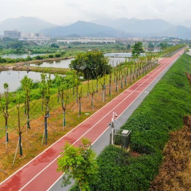 计划五一对外开放！东莞又一公园来了，约起来~