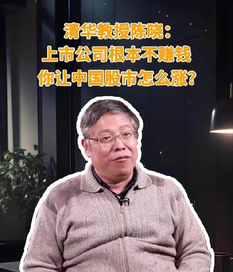 清华教授采访时表示，中国不涨的原因之一是企业不挣钱…