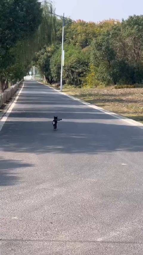 它好像知道这条鱼来路不正