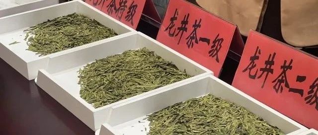 全国首个！事关龙井茶，浙江正式发布