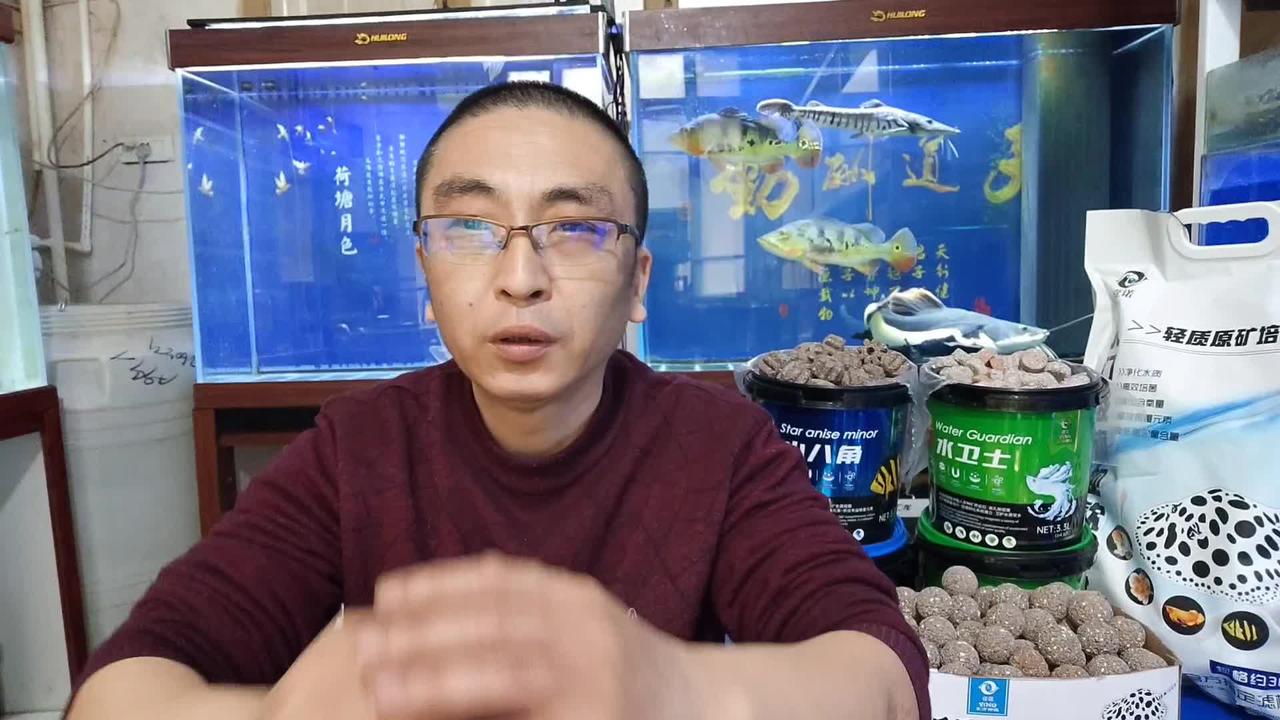 为什么鱼缸的过滤棉，总是堵水，积水，原因在哪里？观赏鱼